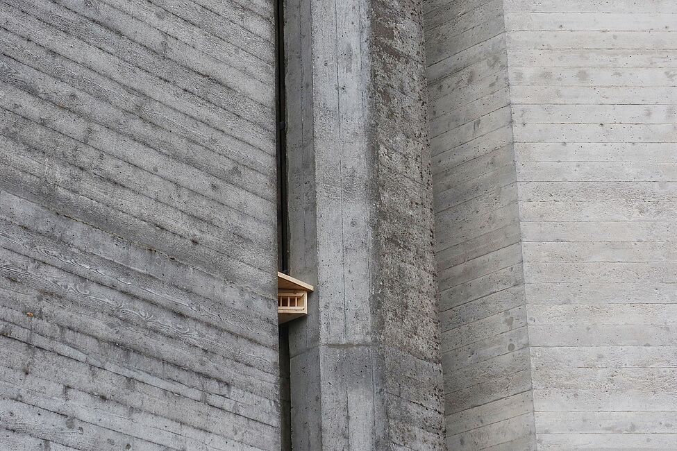 Nisthilfen für Hausrotschwanz und Hornissen