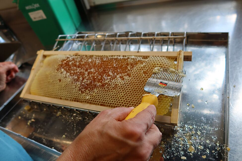 Die Honigernte ist da!